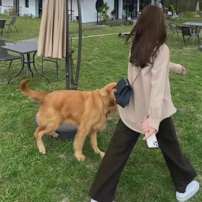 恋爱检讨书